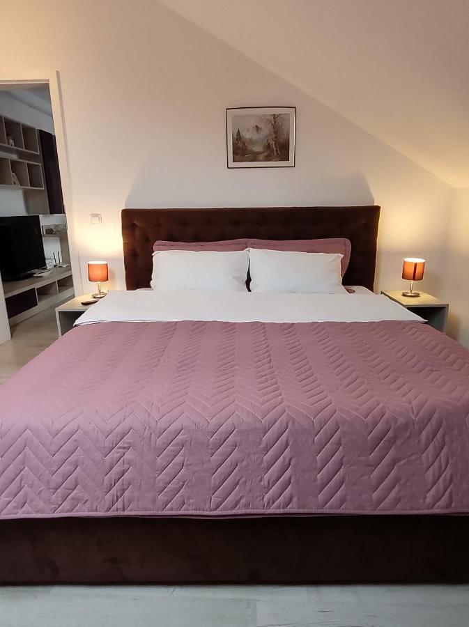 Simona Apartament Palas Mall Ιάσιο Εξωτερικό φωτογραφία