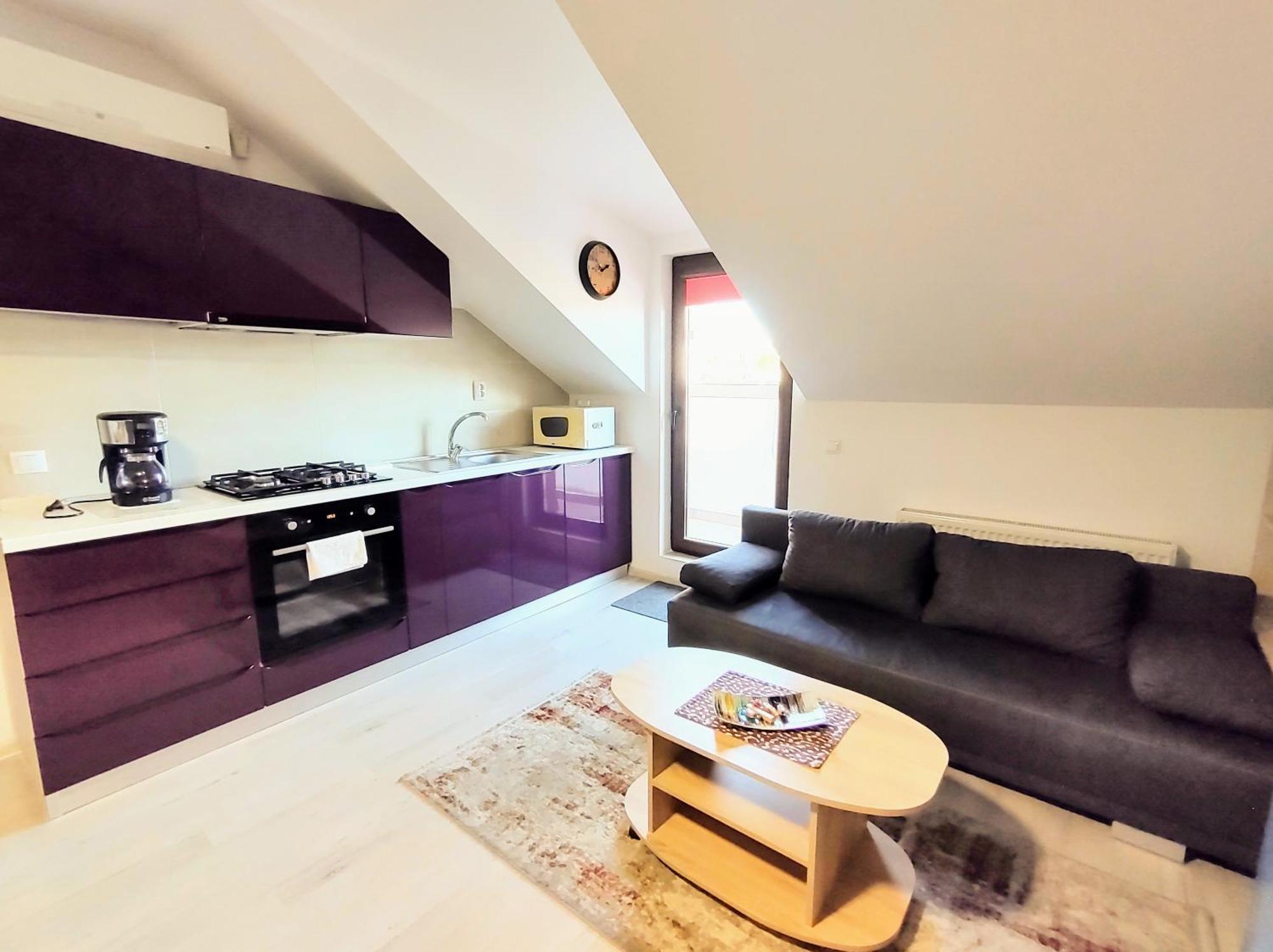 Simona Apartament Palas Mall Ιάσιο Εξωτερικό φωτογραφία