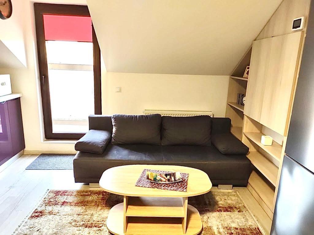 Simona Apartament Palas Mall Ιάσιο Εξωτερικό φωτογραφία