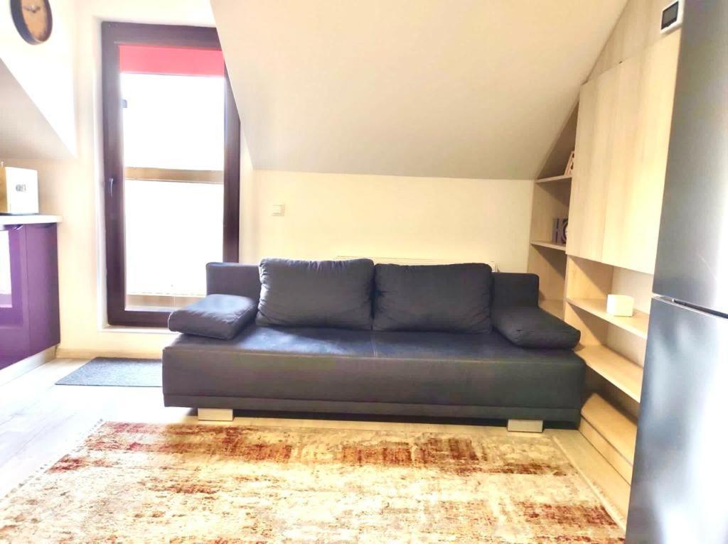 Simona Apartament Palas Mall Ιάσιο Εξωτερικό φωτογραφία